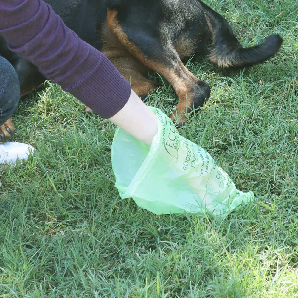 Biodegradable Doggy Bags 8 Rolls