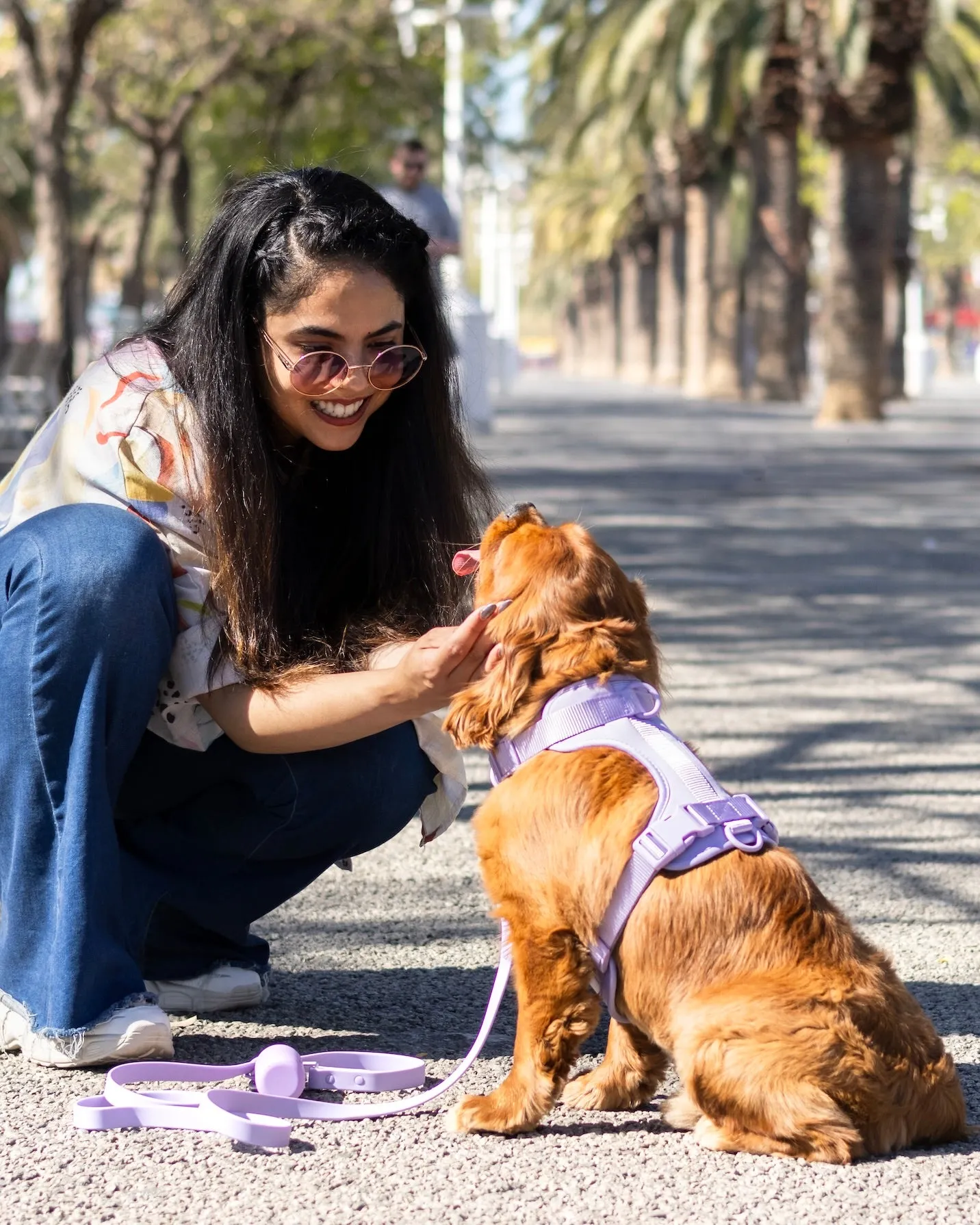 Lavender Dream Dog Poop Bag Dispenser