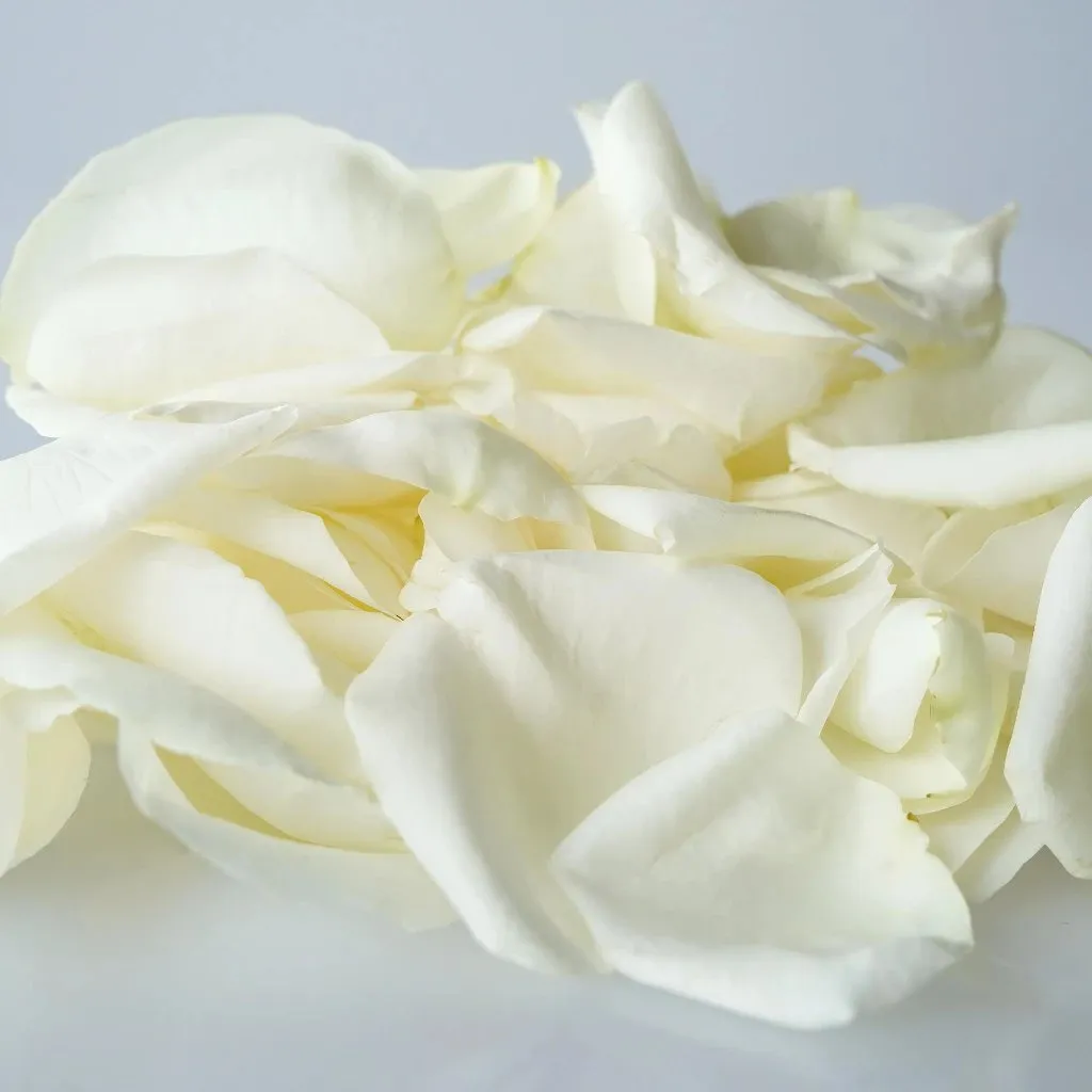 White Rose Petals